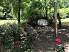 Peace Park